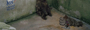 po