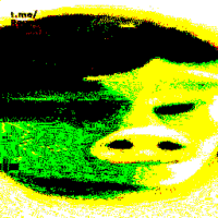 16bkKjpe.жипег