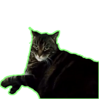 zGRDdfFQ.жипег