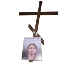 prJLgoK5.жипег