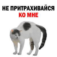 71kLGCr8.жипег