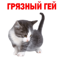 ag4X82NA.жипег