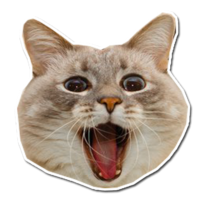 gawKvLzP.жипег