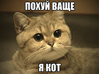 lQTj3wYS.жипег