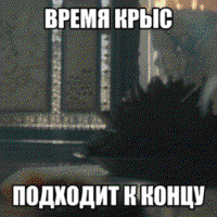 Fxn03GTY.жипег