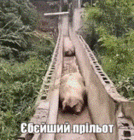 0e4AHlod.жипег