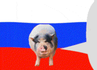 G9JcBEjG.жипег