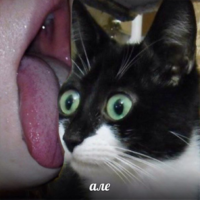 Zq9VSzVW.жипег